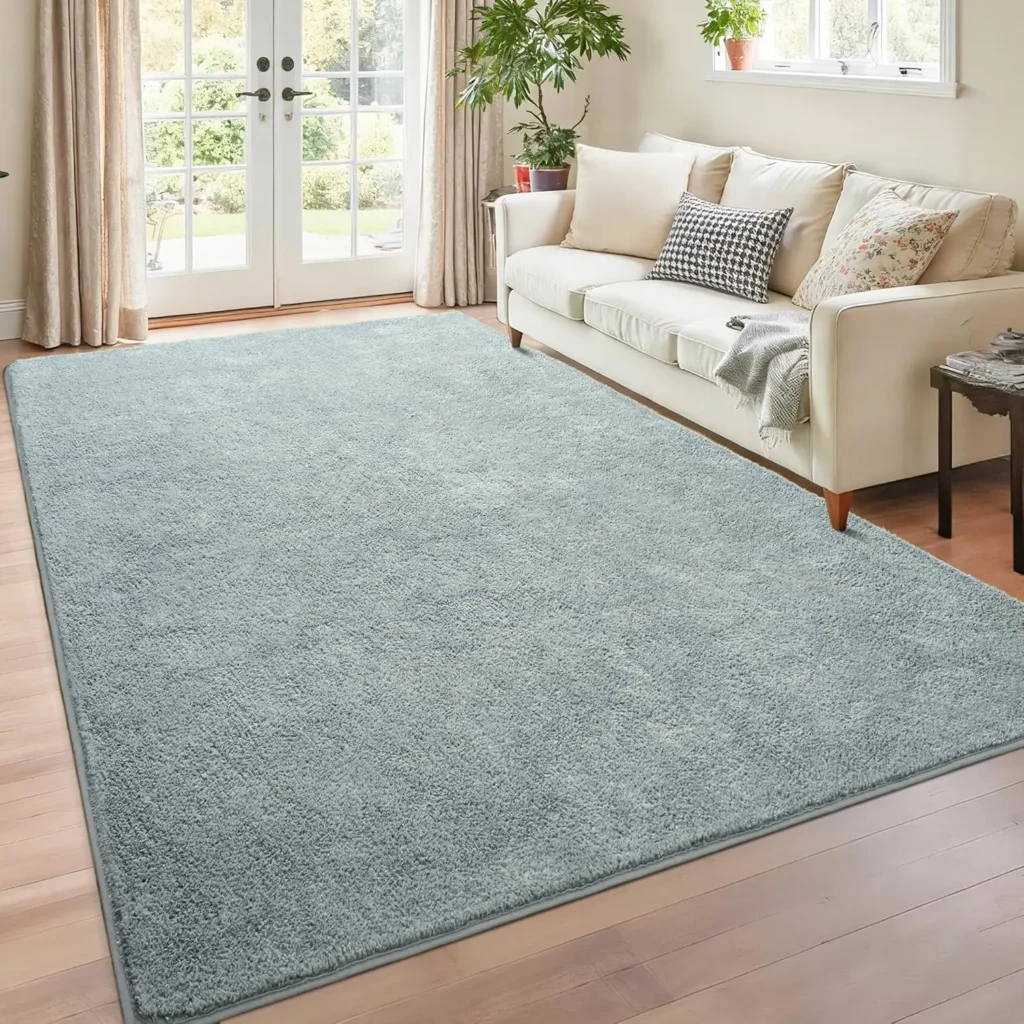 Chicrug 4x6 Minimalist Washable Area Rugs for Bedroom Living Room Classroom, Modern Soft
