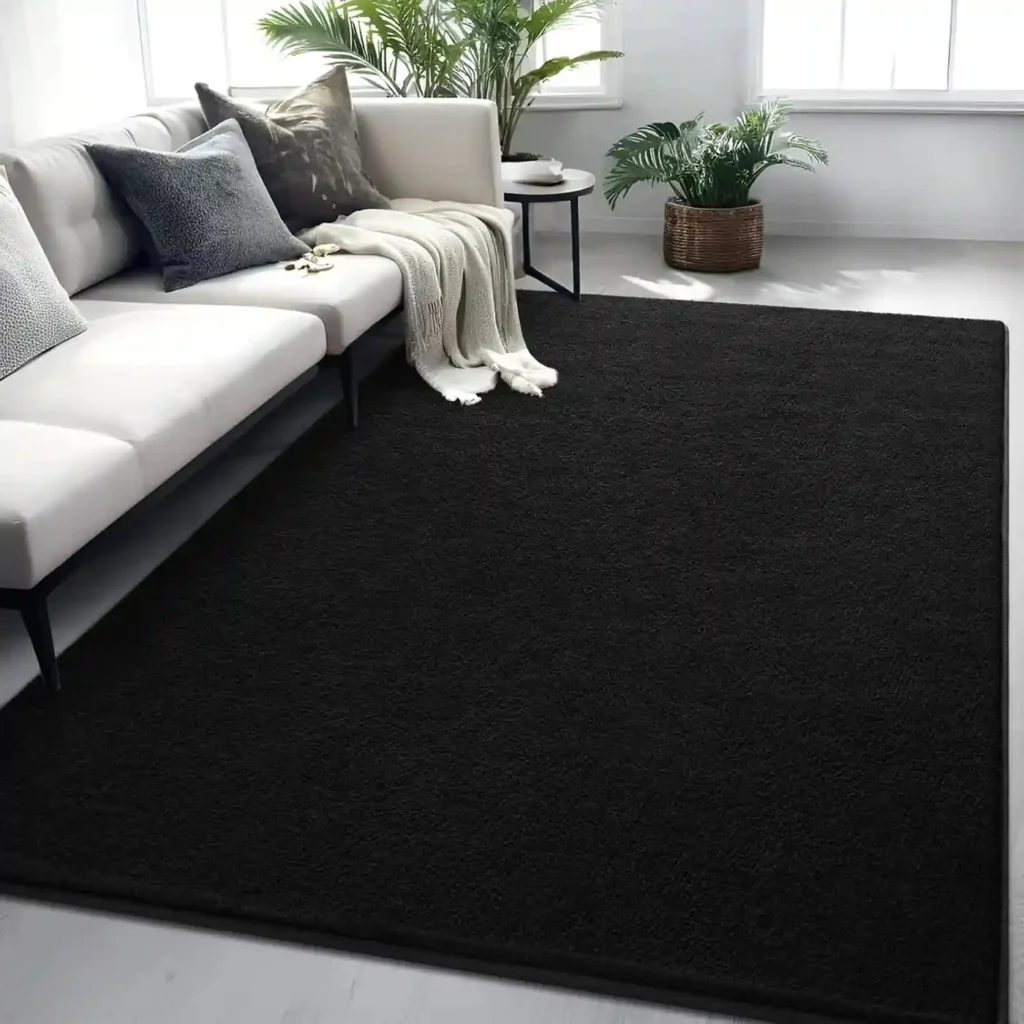 Black rectangular area rug in modern living room with white sofa and indoor plants