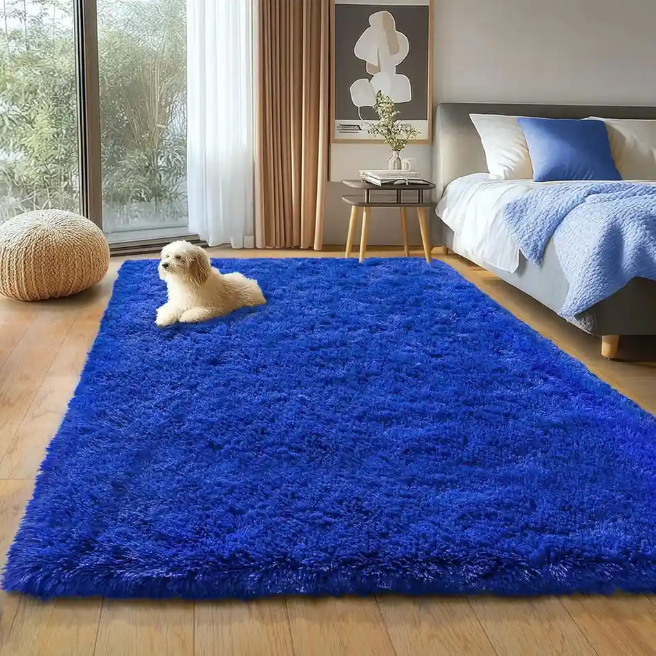 Bright royal blue fluffy shag rug in bedroom with small white dog