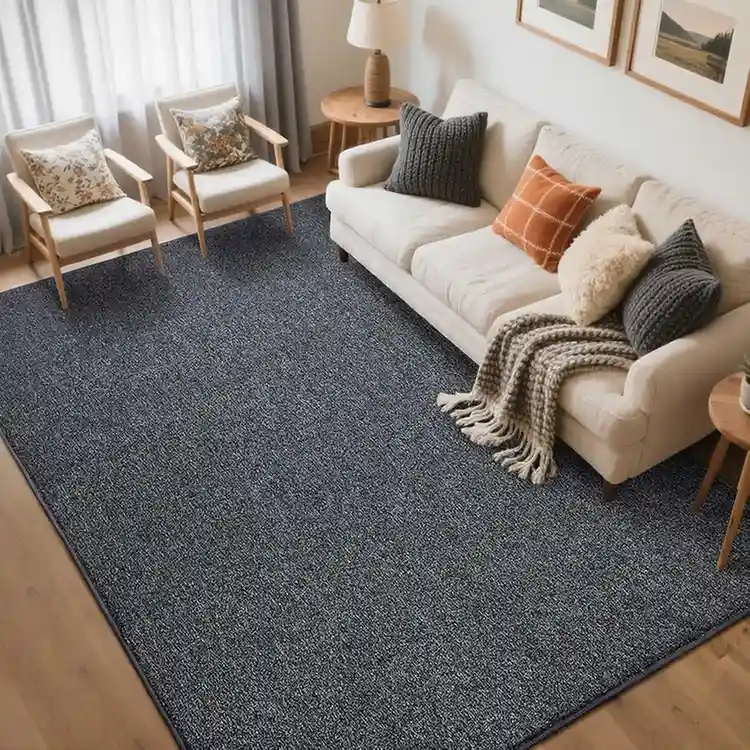 Dark gray textured area rug in modern living room