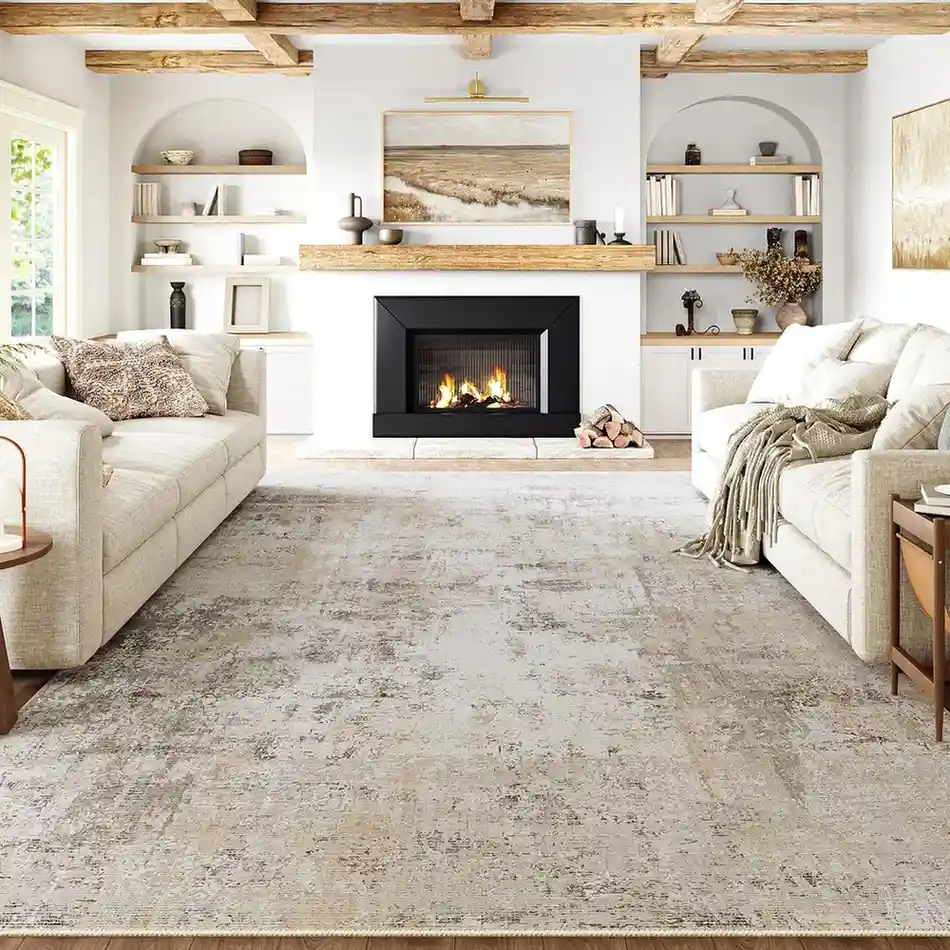 Light beige distressed area rug in bright living room
