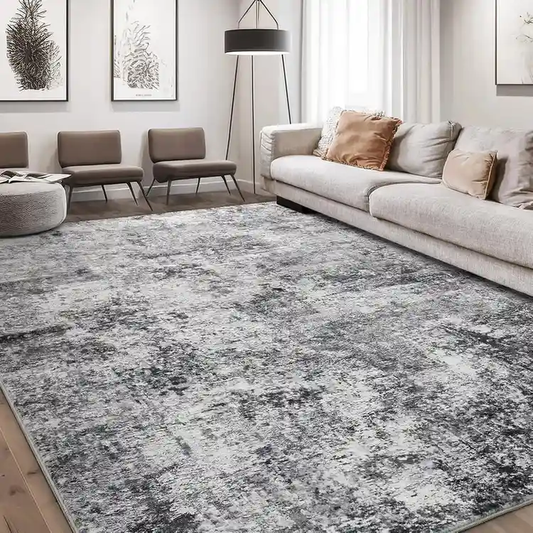 Grey and white distressed area rug in modern living room